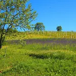 Bed & Breakfast Casa Del Roseto Belveglio