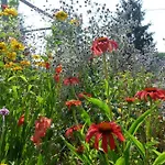 Bed & Breakfast Casa Del Roseto Belveglio