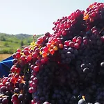 Bed & Breakfast Casa Del Roseto