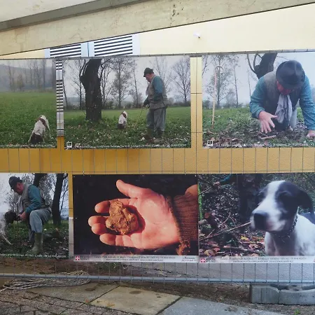 Casa Del Roseto Nocleg ze śniadaniem Belveglio