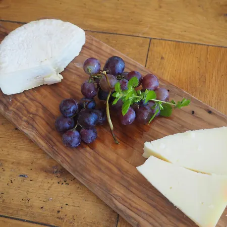 Casa Del Roseto Bed and Breakfast Belveglio