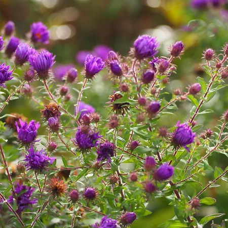 Casa Del Roseto Belveglio
