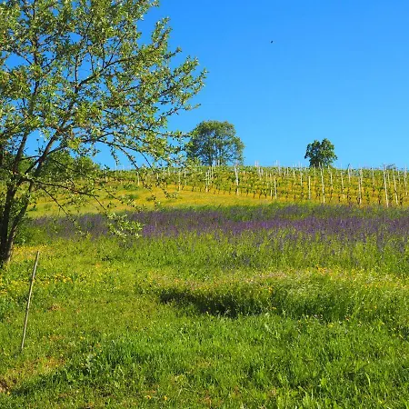 Bed and Breakfast Casa Del Roseto Belveglio