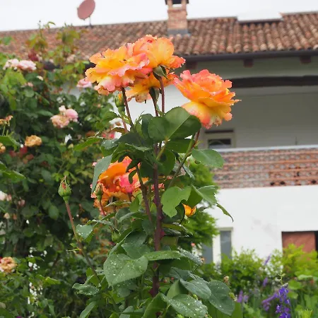 Casa Del Roseto Nocleg ze śniadaniem 4*