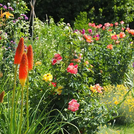 Casa Del Roseto 4* Belveglio