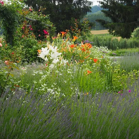 Bed and Breakfast Casa Del Roseto