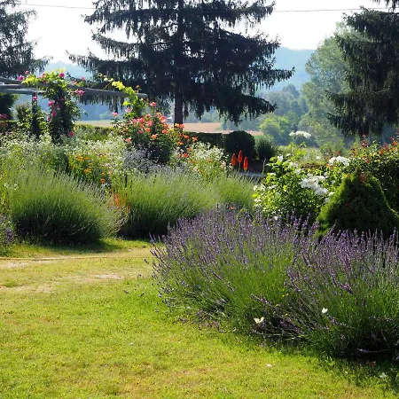 Casa Del Roseto Nocleg ze śniadaniem Belveglio