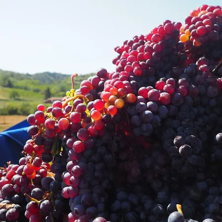 Bed and Breakfast Casa Del Roseto