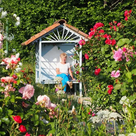 Casa Del Roseto Nocleg ze śniadaniem Belveglio