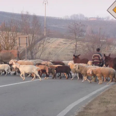 Casa Del Roseto Belveglio