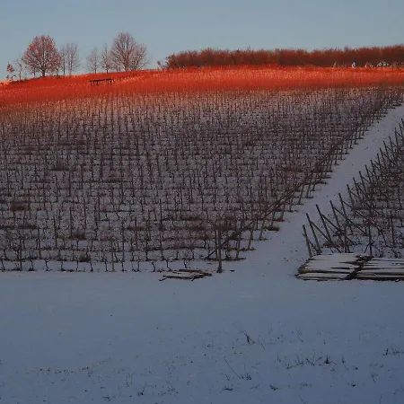 Casa Del Roseto Nocleg ze śniadaniem