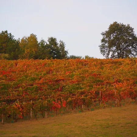 Casa Del Roseto Bed and Breakfast Belveglio