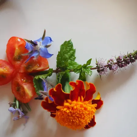 Casa Del Roseto 4* Belveglio