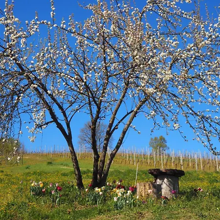 Casa Del Roseto 4* Belveglio