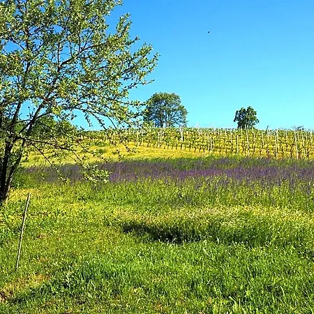 Casa Del Roseto Bed & Breakfast 4*