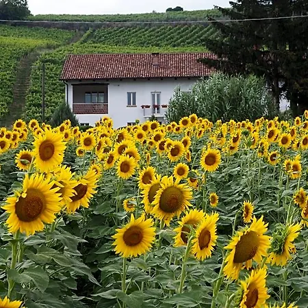 Casa Del Roseto 4*
