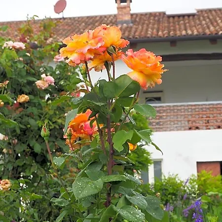 Casa Del Roseto 4* Belveglio