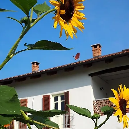 Bed & Breakfast Casa Del Roseto Belveglio