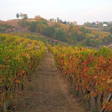 Casa Del Roseto Bed & Breakfast Belveglio
