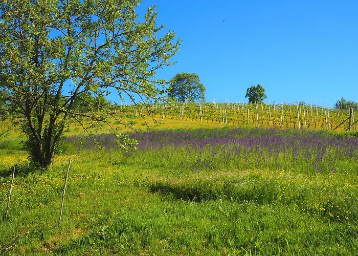 فندق مبيت وإفطار Casa Del Roseto Belveglio