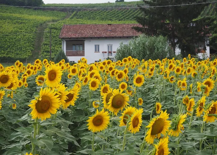 Casa Del Roseto Nocleg ze śniadaniem