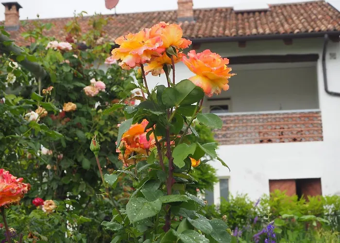 Casa Del Roseto Nocleg ze śniadaniem 4*