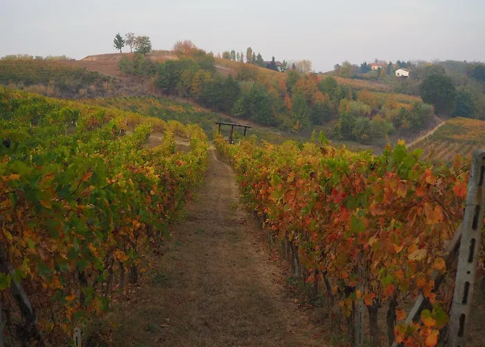 Nocleg ze śniadaniem Casa Del Roseto 4*