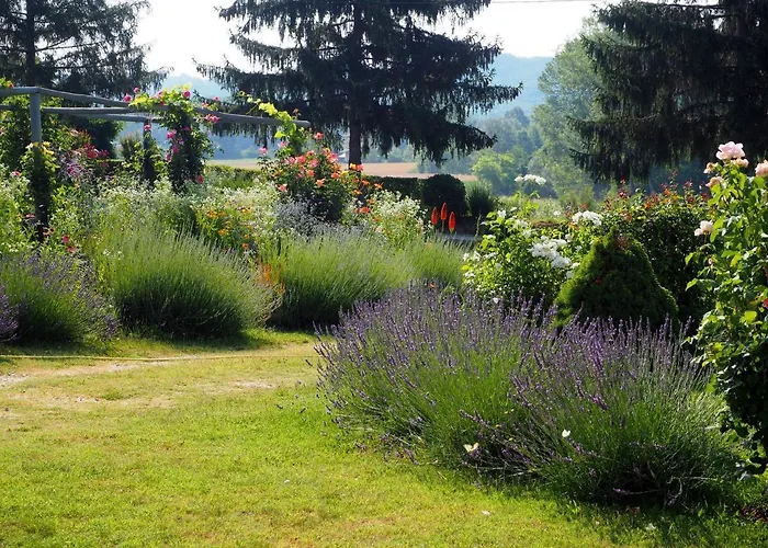 Casa Del Roseto Nocleg ze śniadaniem Belveglio