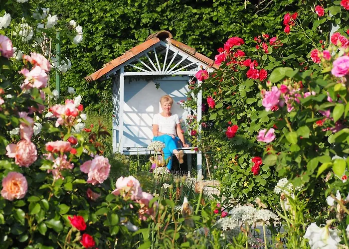 Casa Del Roseto Nocleg ze śniadaniem Belveglio