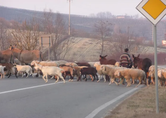 Casa Del Roseto Belveglio