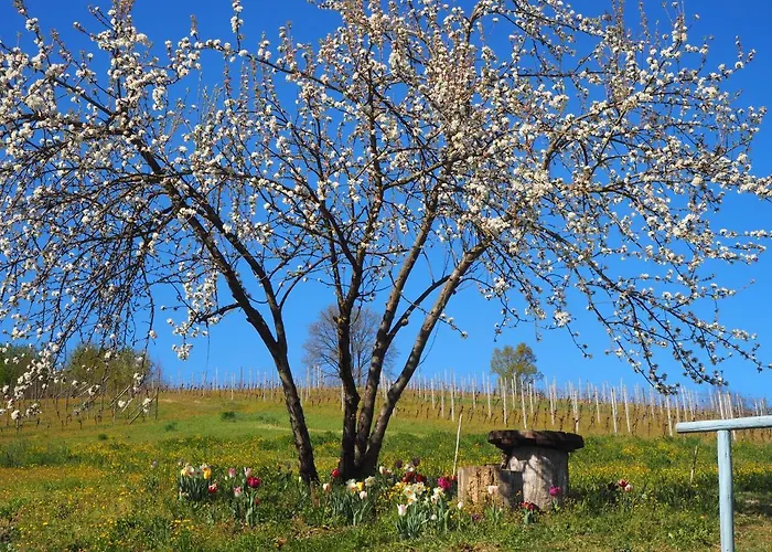 Casa Del Roseto 4* Belveglio